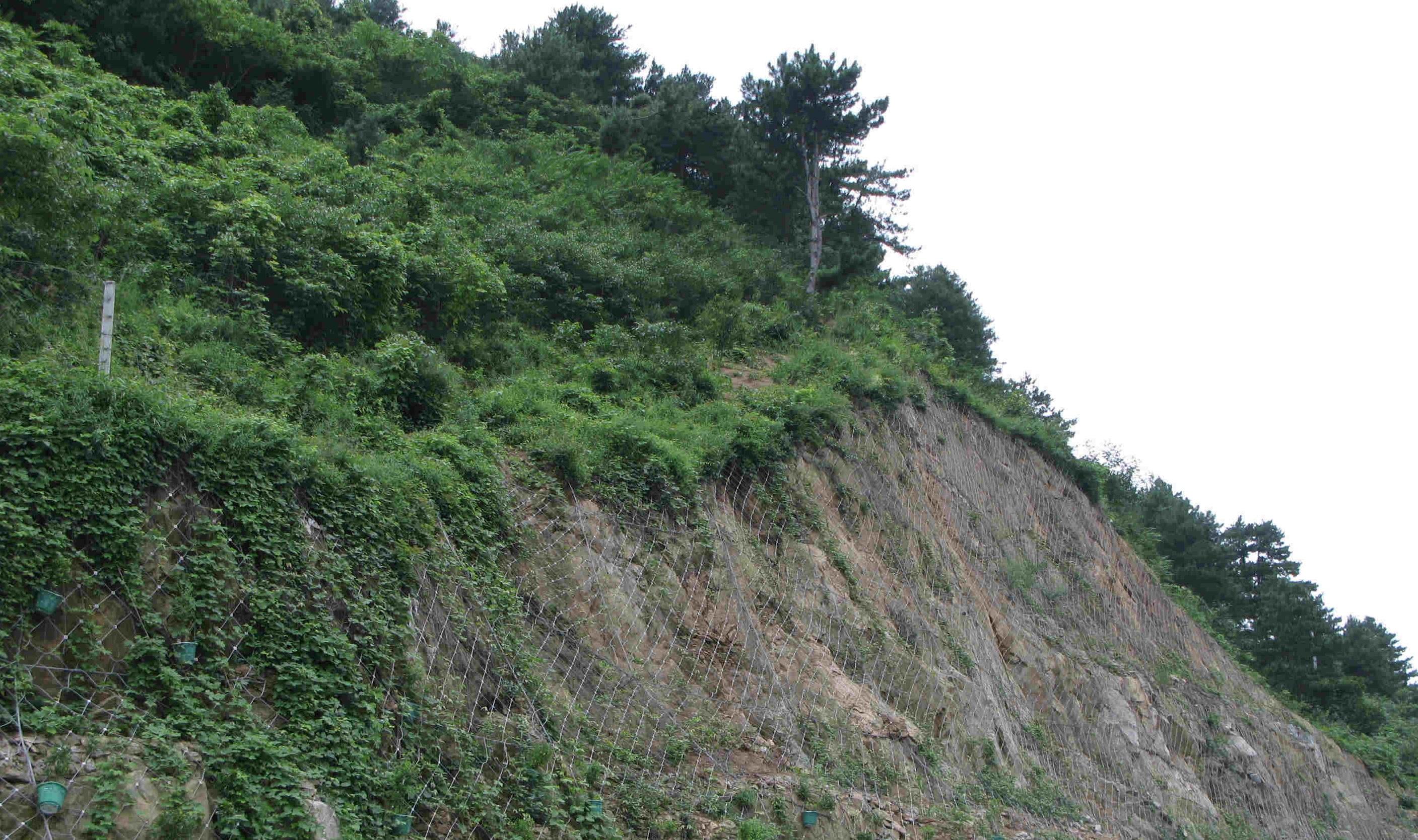 落石防護(hù)網(wǎng)都被應(yīng)用到哪些地方